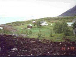 vikan 3